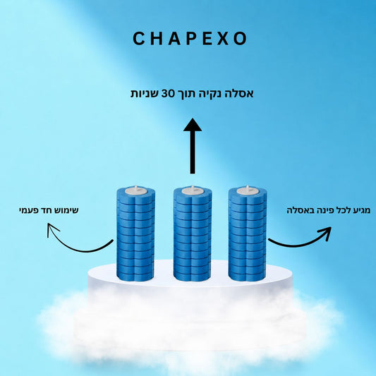 ספוגים